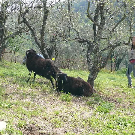 Antica Bottega Di וינצ'י