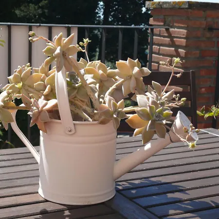 Antica Bottega Di 3*
