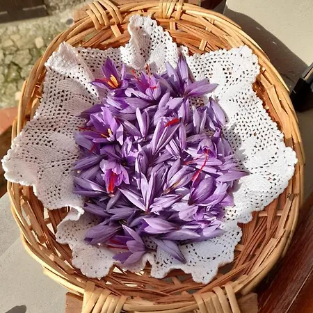 Antica Bottega Di לינה וארוחת בוקר