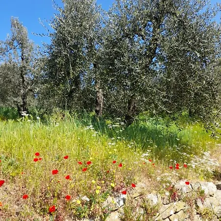 Antica Bottega Di לינה וארוחת בוקר וינצ'י