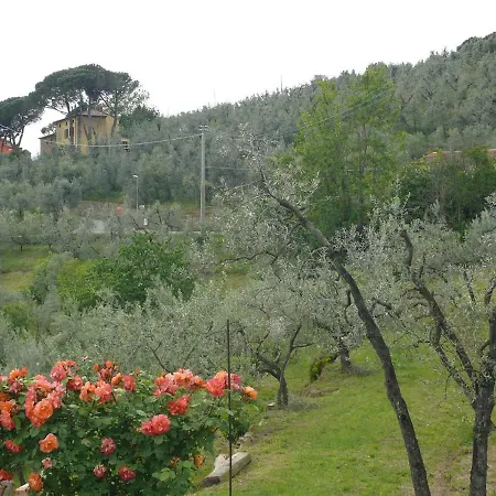 Antica Bottega Di 3*