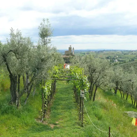 Antica Bottega Di Vinci
