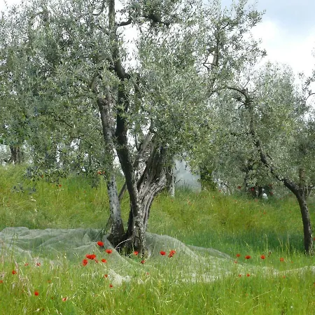 Antica Bottega Di לינה וארוחת בוקר